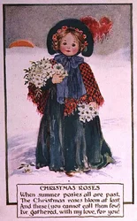 Rosas de Natal