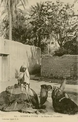 Le Repos du Chamelier, c.1890-1914 (foto a p/b)