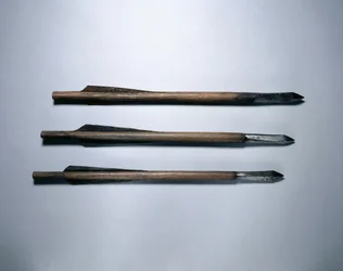 Parafusos de besta