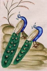 Pintura em miniatura sobre papel: pavão