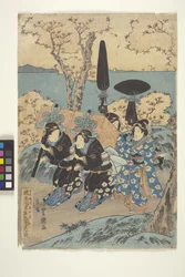 Totó: Flower-Viewingat Gotenyama