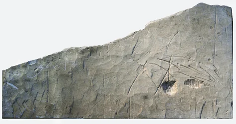 Inscrição de Beth Loya, sopé judaico, Israel, século VI a.C. (pedra)
