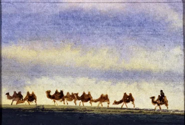 Rebanho de camelos, Mongólia - aquarela mongol