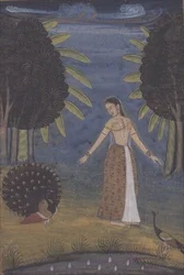 "Kakubha Ragini": uma senhora está numa clareira a alimentar dois pavões, Lucknow, Mughal provincial, de uma série I-VIII de um álbum Johnson n.º 30, c. 1780