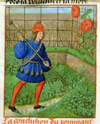 Harl 4425 f.184v O amante alcança a rosa, do 