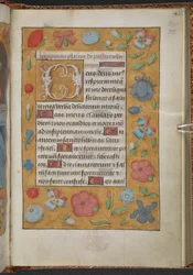 Reis 9, f.232r, Livro de Horas, Uso de Sarum ("Livro de Horas de Ana Bolena") (velino)