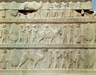 Detalhe do friso em relevo na escadaria leste da Apadana (sala de audiências) retratando os delegados das terras do império com presentes generosos para uma cerimônia, período Aquemeniano, c.515 a.C. (calcário)