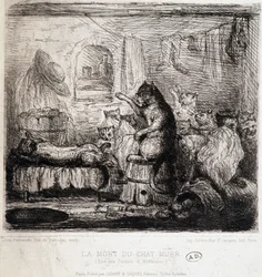 A Morte do Gato Murr (dos contos de Hoffmann) - Desenho, Portugal