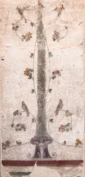 Aves e frutos