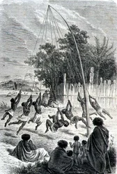Guerreiros Maoris Tocando em um Swing, ilustração de 