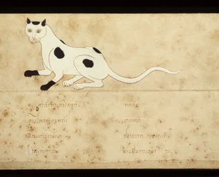 Folha de um manuscrito sobre gatos siameses, início do século XX (aguarela sobre papel)