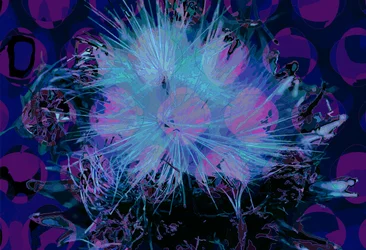 Alcachofra (digital)