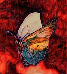 Borboleta, 2021