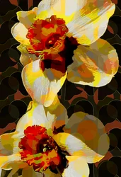 Narciso (digital)