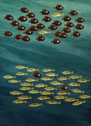 Peixe, 2010 (scratchboard, colorido digitalmente)