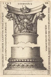 Capital e base de uma coluna