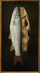 Peixes ainda vivos
