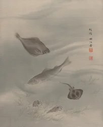 Peixes, aprox. 1890-92.