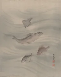 Peixes, aprox. 1890-92.