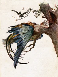 Literatura. Contos de fadas. O Pássaro Azul. Ilustração de J. Solomko, República Checa