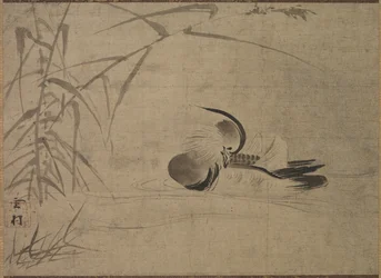 Pato mandarim, 1500s.