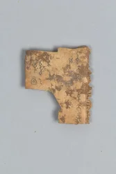 Fragmento de Osso Divinador (concha)