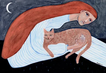 Abraço Noturno do Gato Sonhador