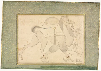 Camelo e cameleiro, ilustração de página única, cerca de 1545-1576.