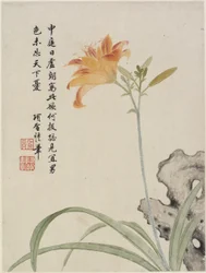 Day-Lily de um álbum de flores de dez folhas, 1656 (tinta e cor no papel)