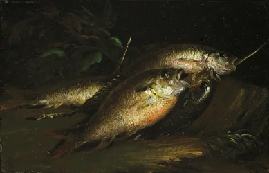Peixe