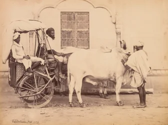 Carro de Boi, Delhi, 1863.