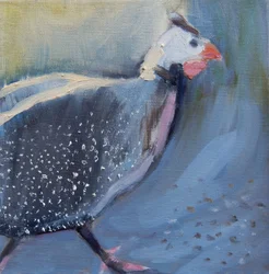 Guiné Fowl Four, 2014