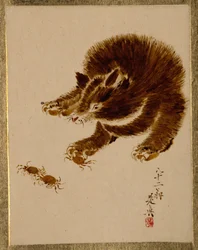 Urso e caranguejos.