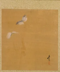 Folha do Álbum de Temas Sazonais: Maple Leaves and Feather, 1847.