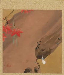 Folhas de bordo e penas do álbum de pinturas do Venerável Zeshin