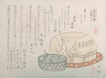 Apanhador de Insetos e Ervas em Vasos, Século XIX., Século XIX.