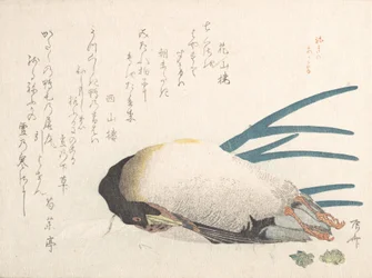 Coleção Spring Rain Harusame shu, vol. 1: Pato e cebolinha, 1810s., 1810s.