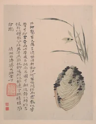 Wilderness Colors, ca. 1700 (álbum de doze pinturas; tinta e cor sobre papel)