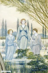 Ninfas da Água