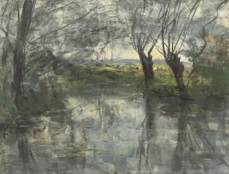 Bosvijver