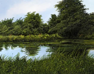 O lago do jardim