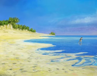 Corrida na praia