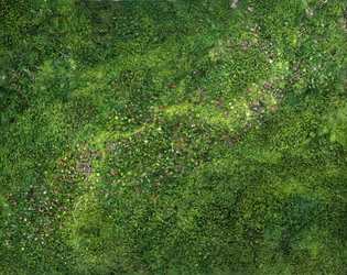 Vista aérea