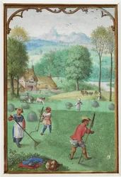Adicionar MS 18855 f.109v julho: colheita, semeadura, de um Livro de Horas, c.1540 (pergaminho)