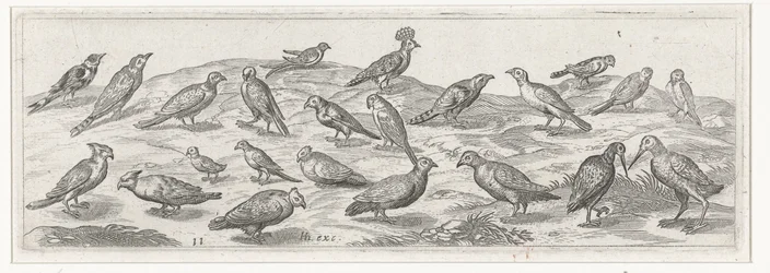Paisagem com diferentes tipos de pássaros. Pássaros e insetos (título da série)