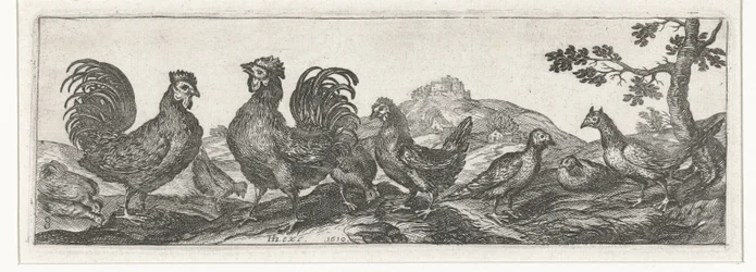 Aves Pássaros e insetos (título da série)