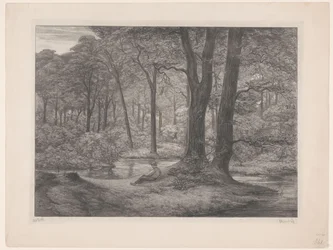 Floresta com lago e homem reclinável
Floresta de Teutoburg (cenário florestal) (título original)