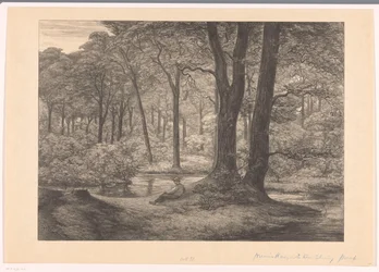 Vista dos Hunnenschans no Veluwe O Hunnenschang (título original)