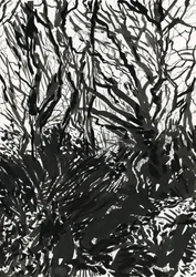 Ham Common Woods (tinta e grafite sobre papel)