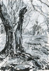Árvore velha, Richmond Park (tinta acrílica, canetas e tinta sobre papel)